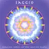 Saggio - Hollow Bone: Healing Songs of the Native Flute